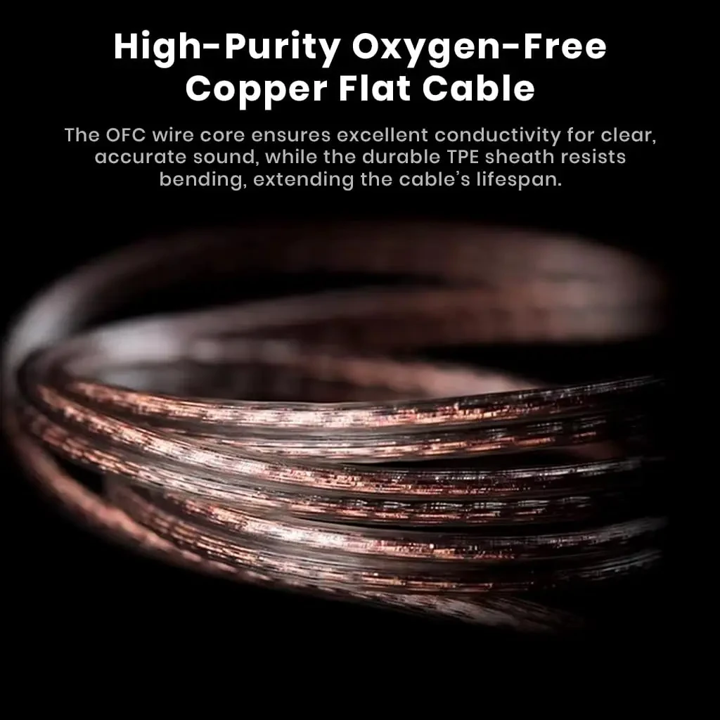 KZ Castor Pro in Ear Monitor with Mic, Dual 10mm Dynamic Driver, Harman Target Hi-Res Audio Quality, 4 Tuning Switch, Oxygen Free Copper Flat Cable, HD Microphone, 0.78mm 2Pin & 3.5mm Plug Compatible - Image 5