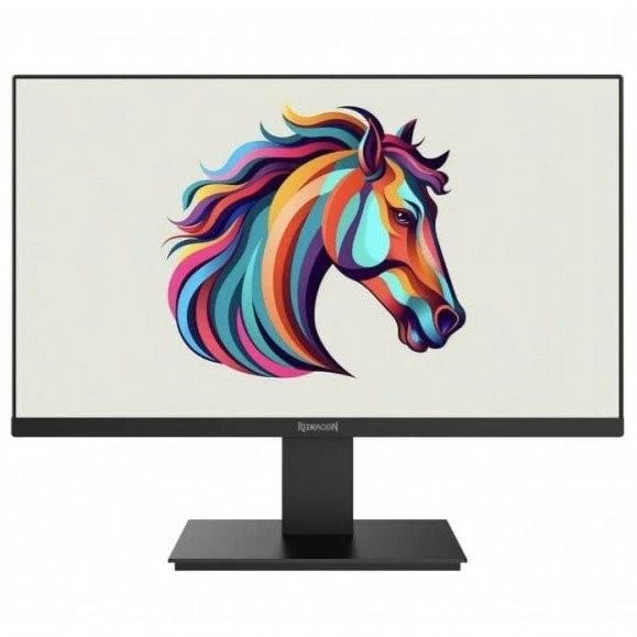 Redragon Thugga BM21V13 - 75Hz 1080p FHD VA 22" LED Monitor