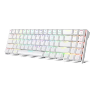 RK Royal Kludge RK71 Gaming Keyboard, The Newest 71-Key Design Wireless Keyboard, 3 Modes Connectivity Mechanical Keyboard, Individually Backlit RGB Keys, Programmable Macro Functionality, TTC Silver Switches (White)
